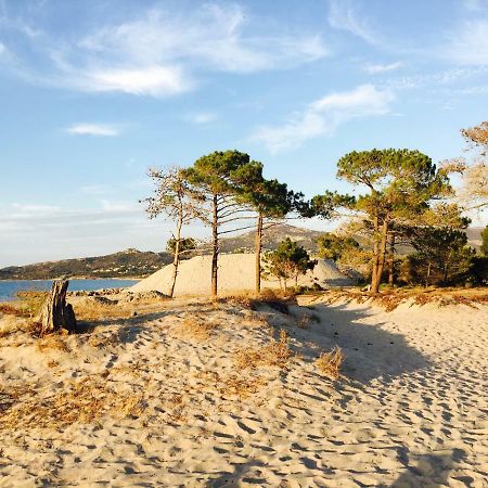 Camping Dolce Vita Calvi  Exteriör bild