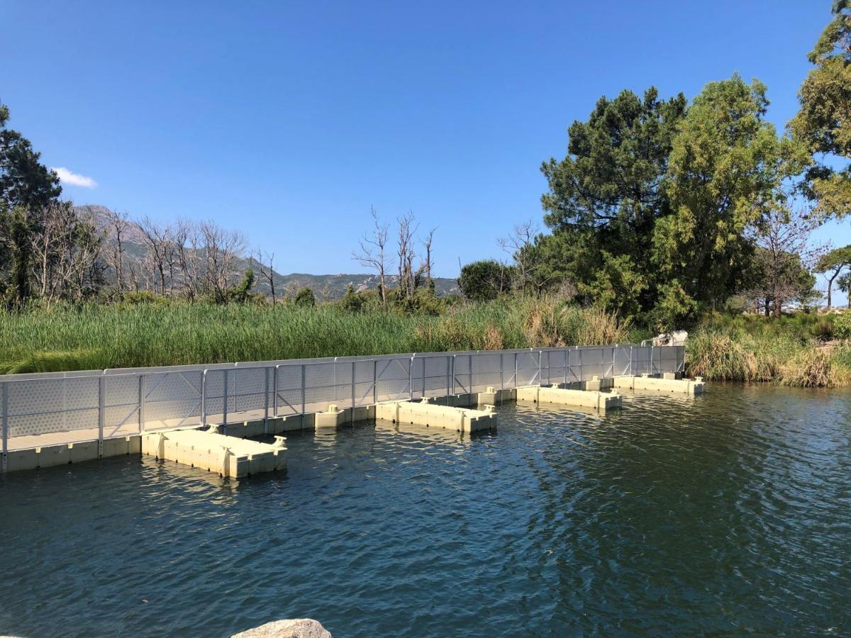 Camping Dolce Vita Calvi  Exteriör bild