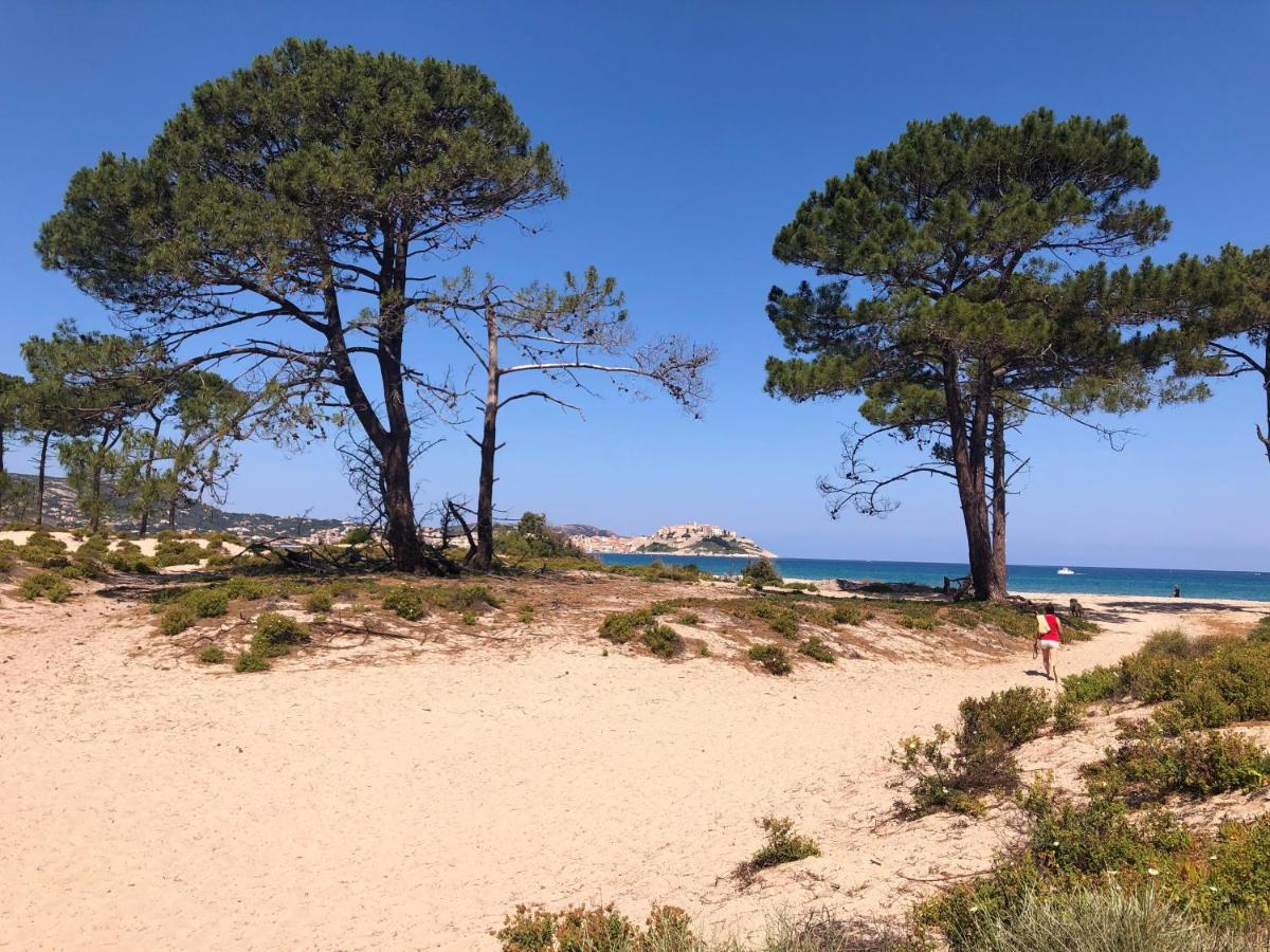 Camping Dolce Vita Calvi  Exteriör bild