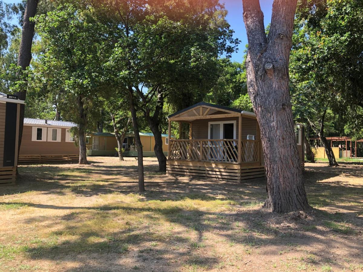 Camping Dolce Vita Calvi  Exteriör bild