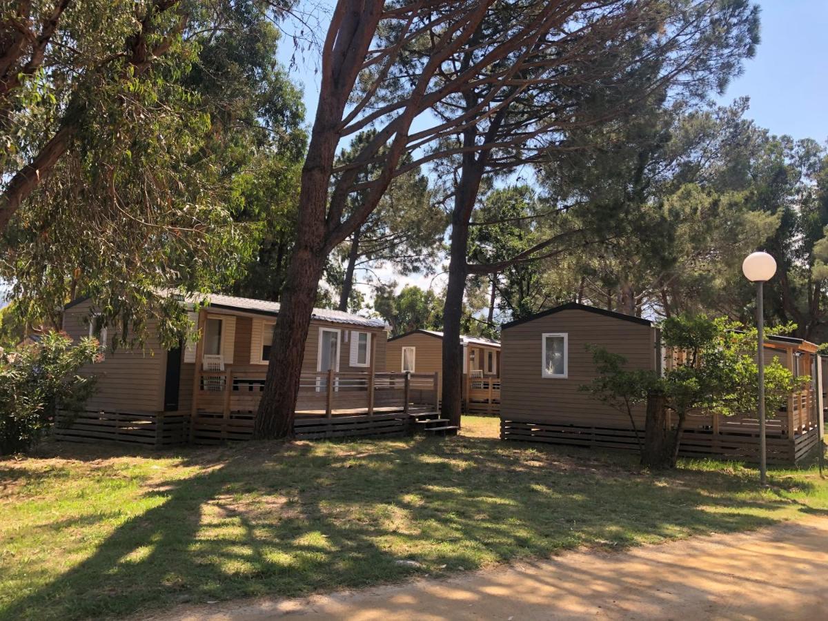 Camping Dolce Vita Calvi  Exteriör bild