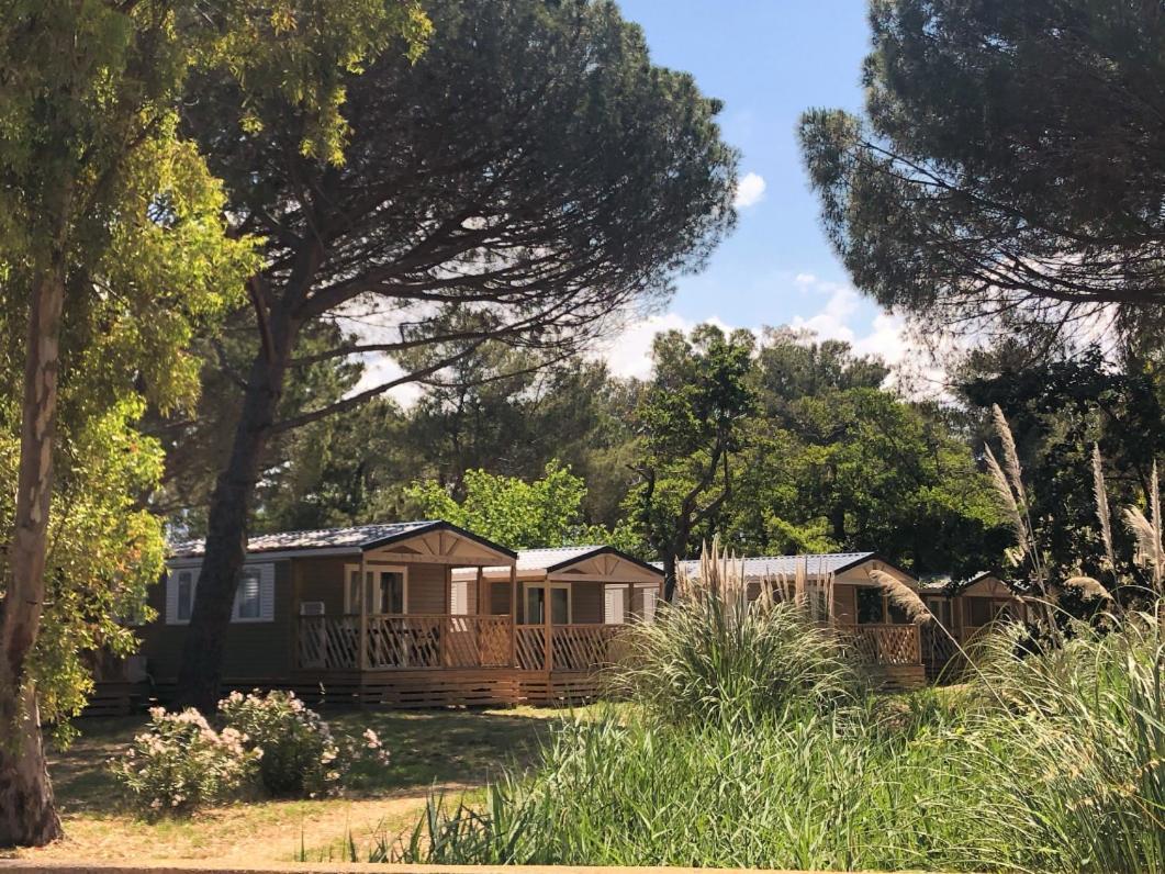 Camping Dolce Vita Calvi  Exteriör bild