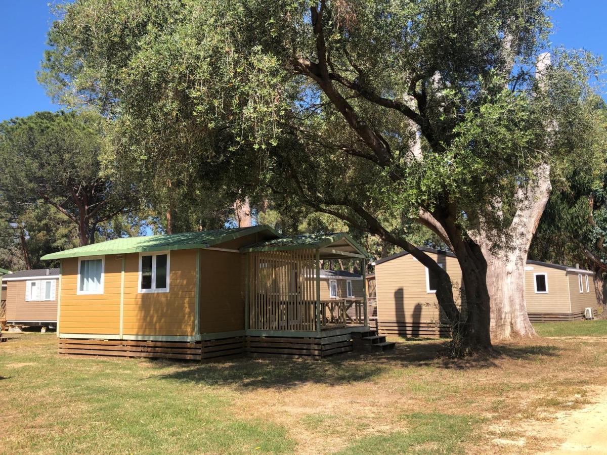 Camping Dolce Vita Calvi  Exteriör bild