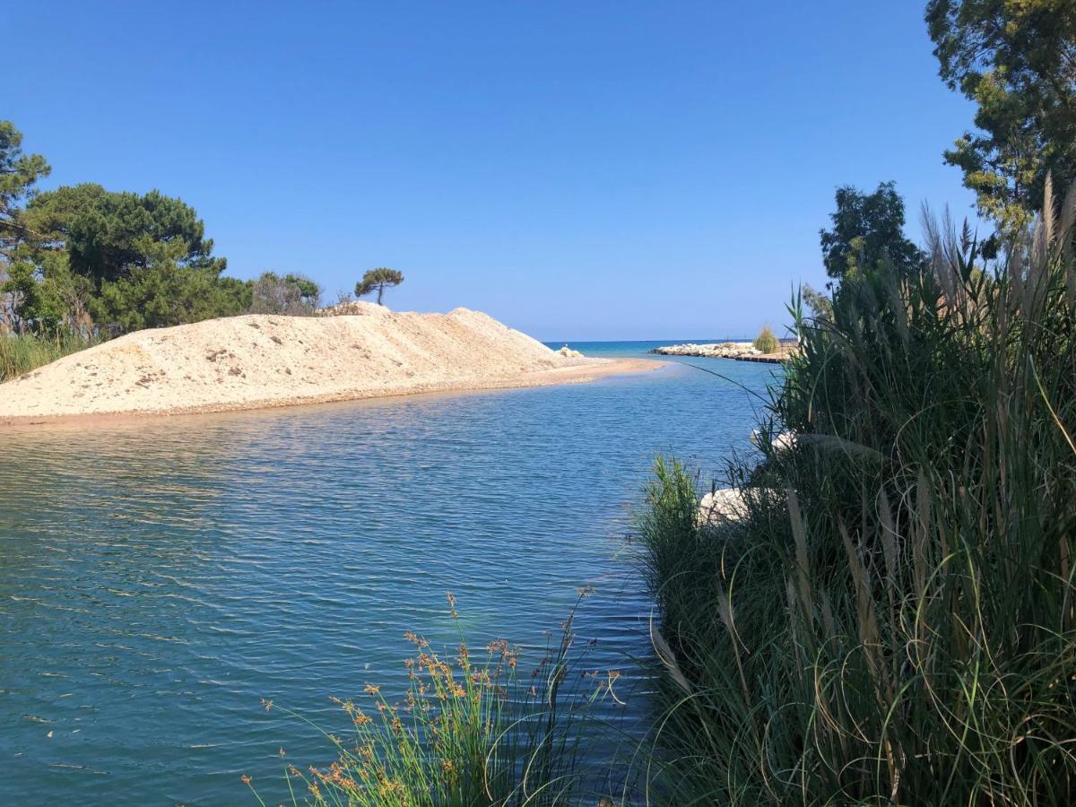 Camping Dolce Vita Calvi  Exteriör bild