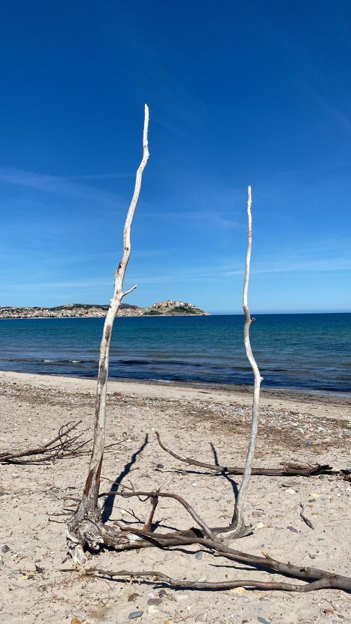 Camping Dolce Vita Calvi  Exteriör bild