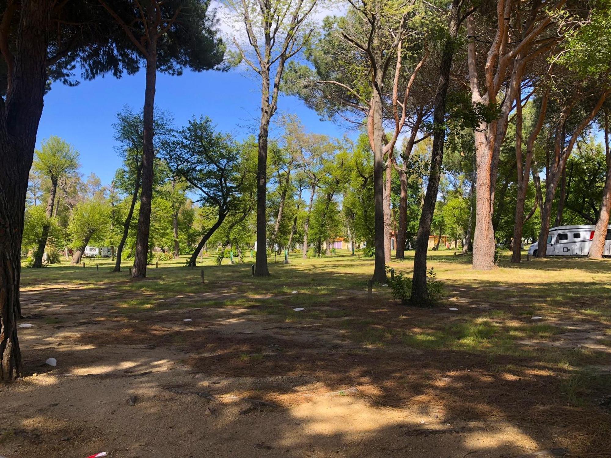 Camping Dolce Vita Calvi  Exteriör bild