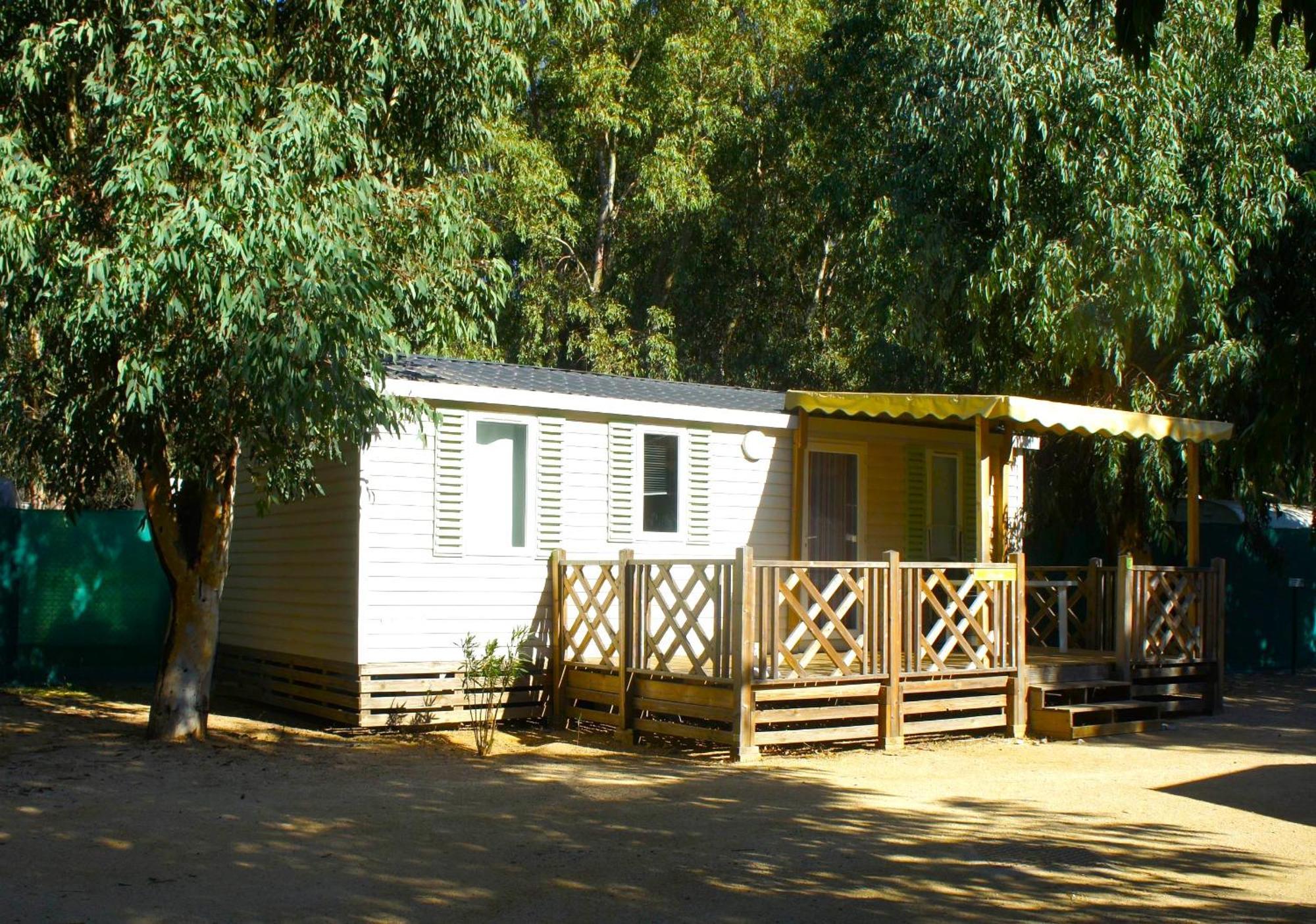 Camping Dolce Vita Calvi  Exteriör bild