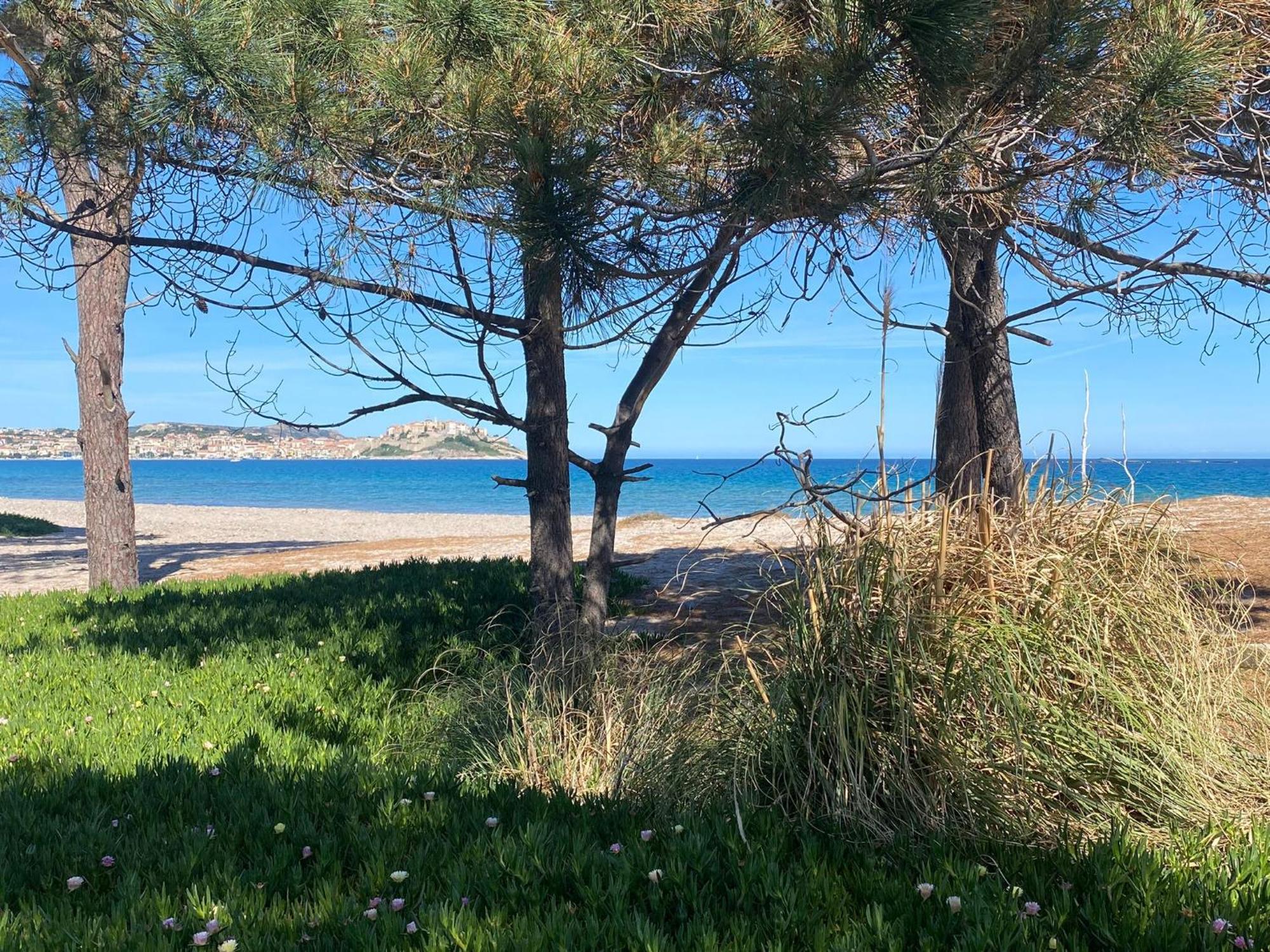 Camping Dolce Vita Calvi  Exteriör bild