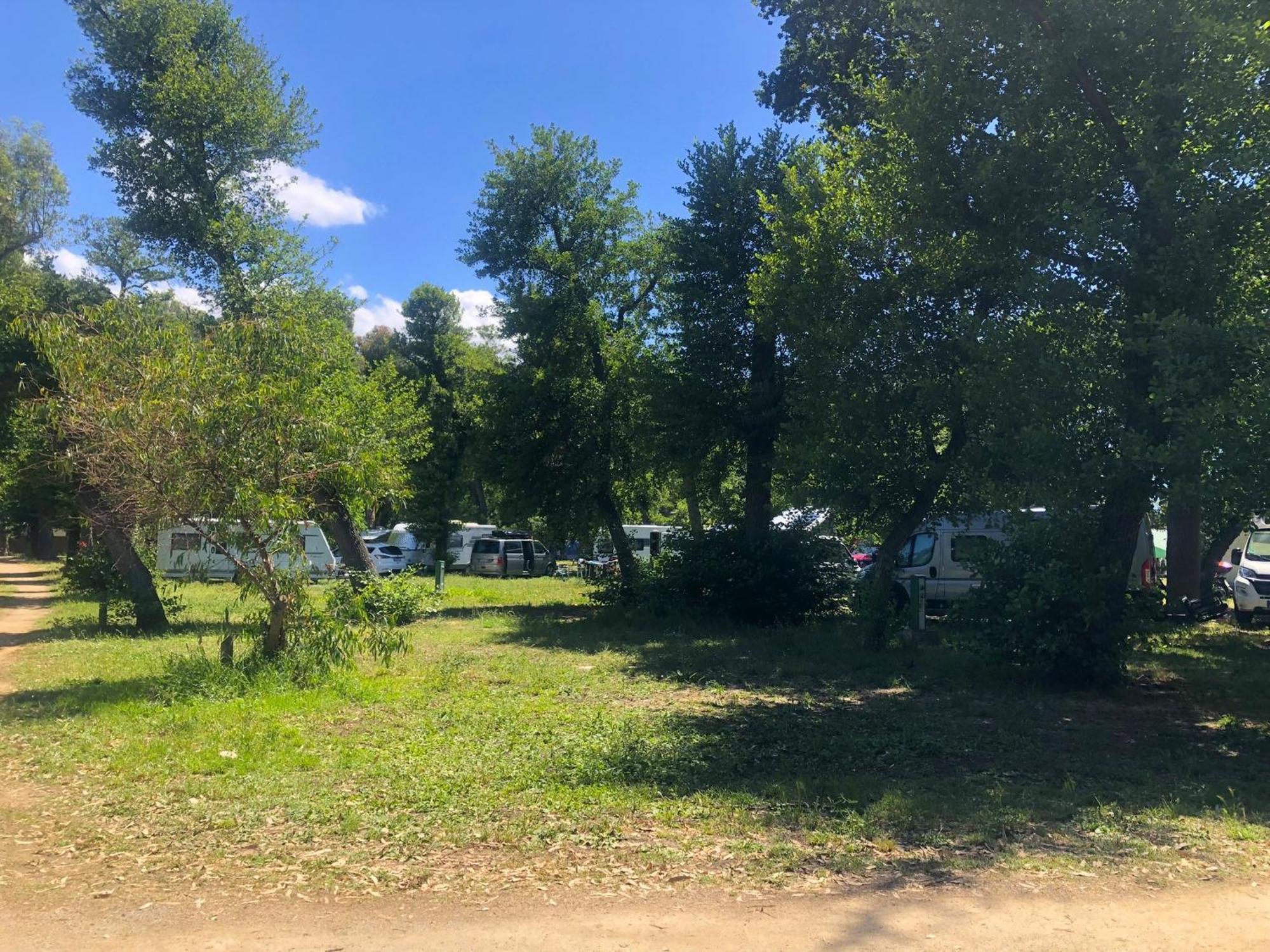 Camping Dolce Vita Calvi  Exteriör bild