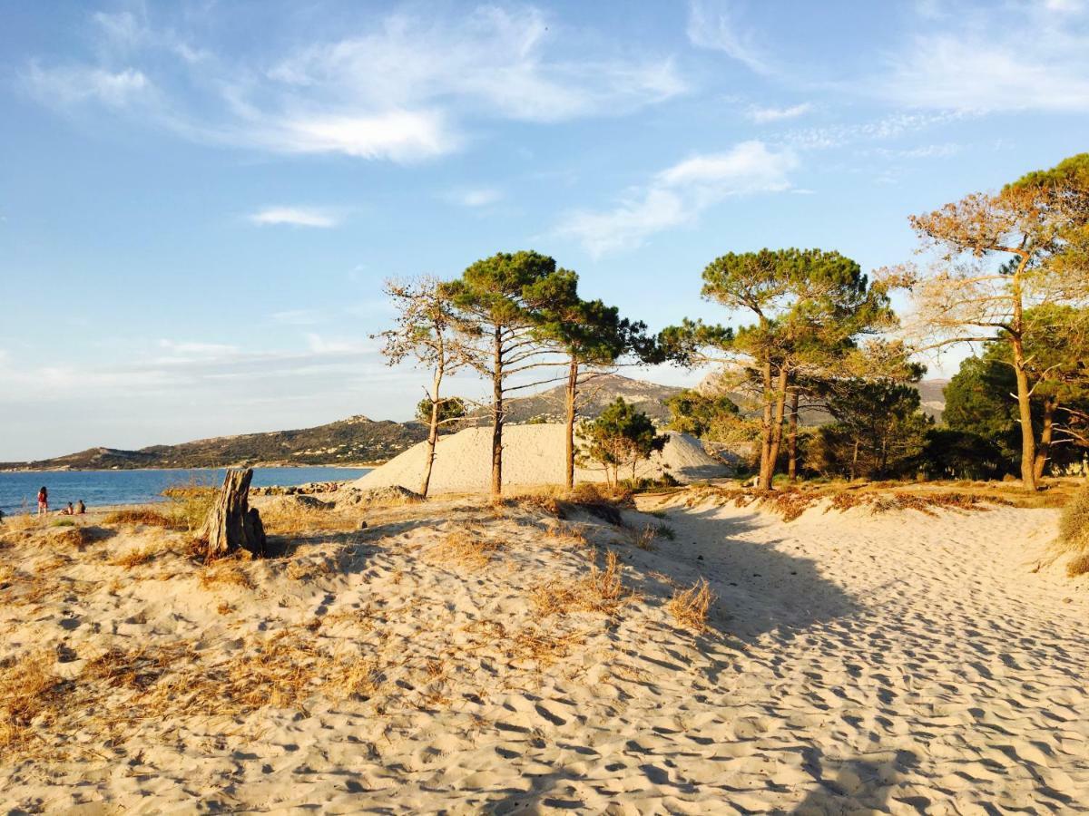 Camping Dolce Vita Calvi  Exteriör bild