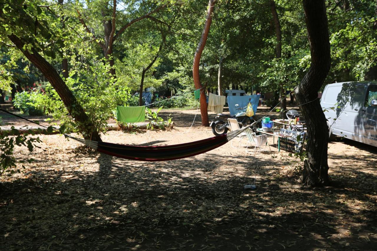 Camping Dolce Vita Calvi  Exteriör bild